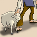 shepherdThumb